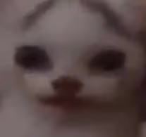 Melon emote