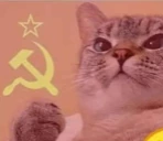 COMMcat emote