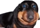 Erm emote