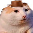 Meowdy emote
