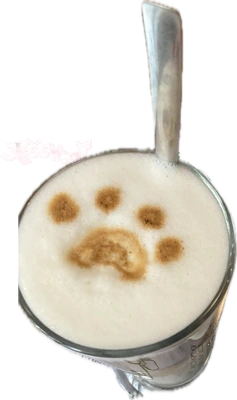 catclatte emote