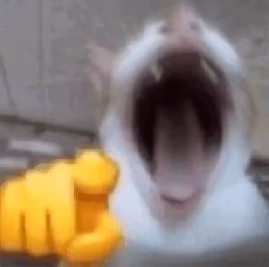 catkek emote
