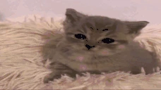 sad emote