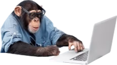 BusinessMonke emote