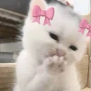 hihihihi emote