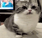 Who emote