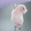 pig emote
