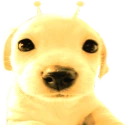 ylerp emote