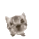 wewe emote