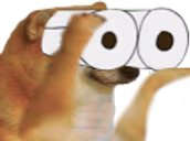 Bonknoculars emote