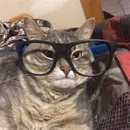 Nerd_Cat emote