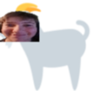 fenstomann avatar