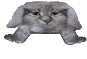 going animated emote