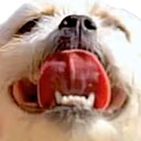 goodboy emote