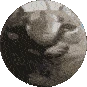 floppasphere emoji