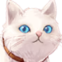DGF_Cat emote