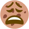 weary_cookie emote