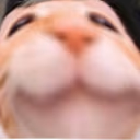 L3 emote
