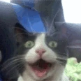 CE_PogCat emote