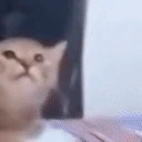 BrorGETTINGpinged emote