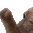 VIBE animated emote