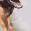 Smelly emote
