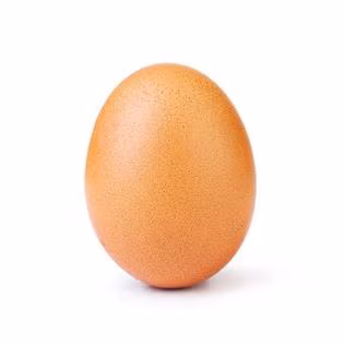 EGG emote