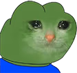 Pepe_Cat_Cry_2 emote