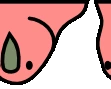 aussiereversecongaParrot emote