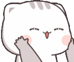 catCute emote