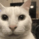 Aware emote