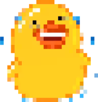 8bitduck_joy emote