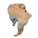 Ricardito emote