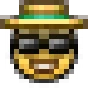 tourist emoji