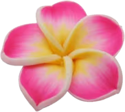 tropic_flower1 emoji