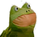 FrogFrogg emote