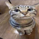 ermwhattheflip emote