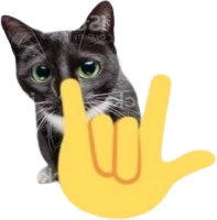 rockoncat emote