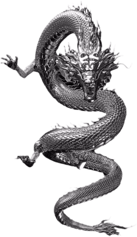 dragon emote