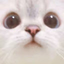 HELLO emote