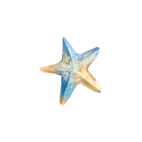 starfish emote