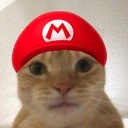 catMario emote