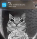 motion static emote