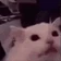 flashbang emote