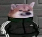 kurwaTen emote
