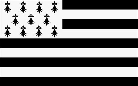 Breizh static emote