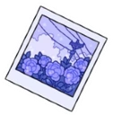 PolaroidPhoto emote