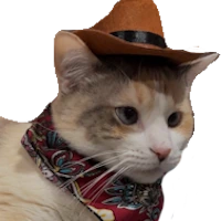 cat_cowboy emote