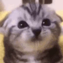 more emote