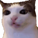 Buggin emoji